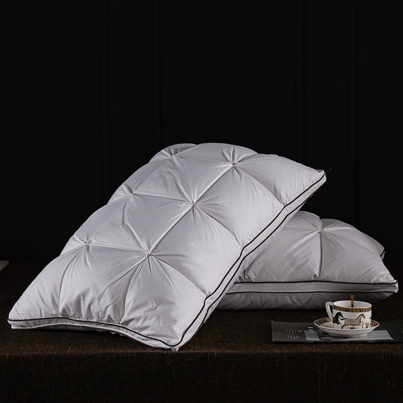 Oreiller en plumes et duvet d'oie