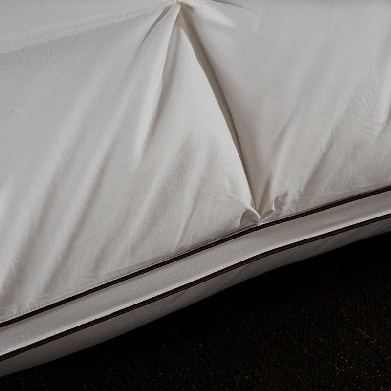 Oreiller en plumes et duvet d'oie