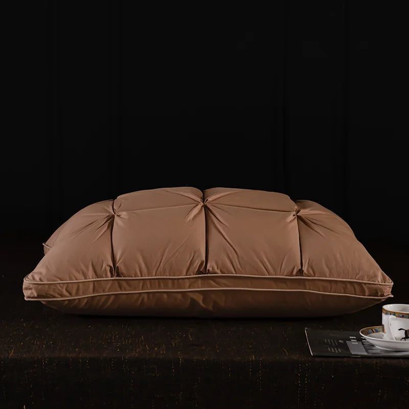 Oreiller en plumes et duvet d'oie
