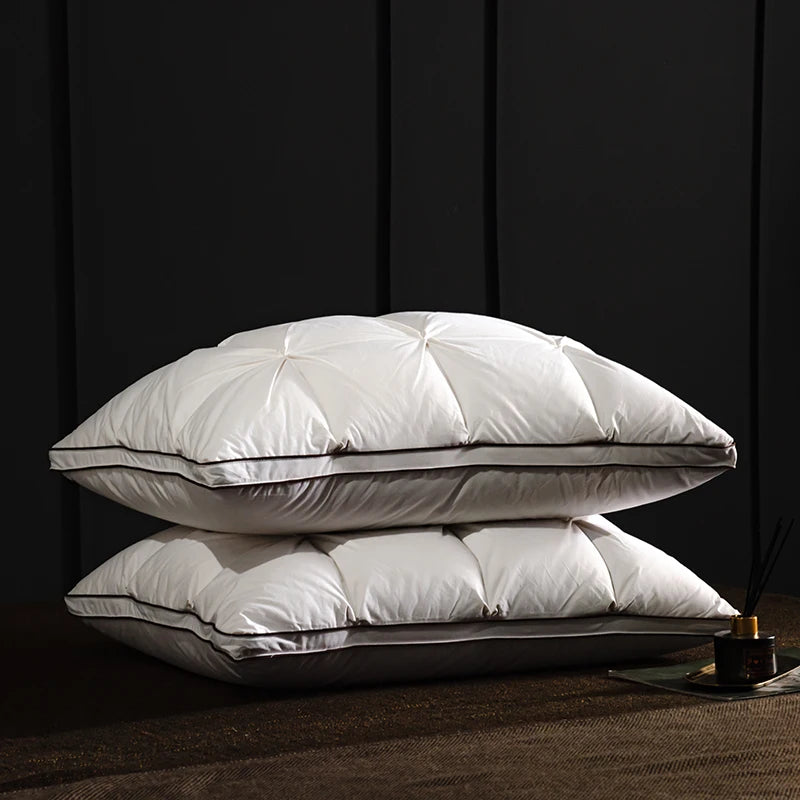 Oreiller en plumes et duvet d'oie
