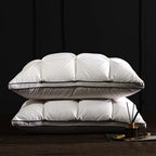 Oreiller en plumes et duvet d'oie