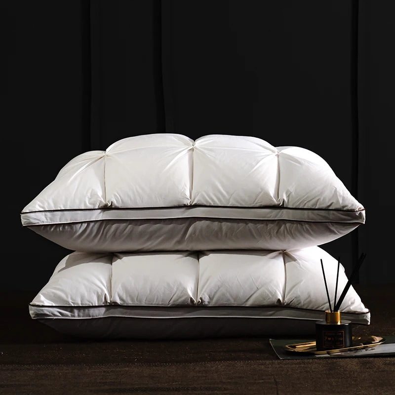 Oreiller en plumes et duvet d'oie