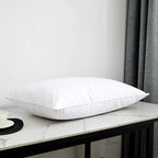 Oreiller duvet et plumes d'oie large gamme de tailles