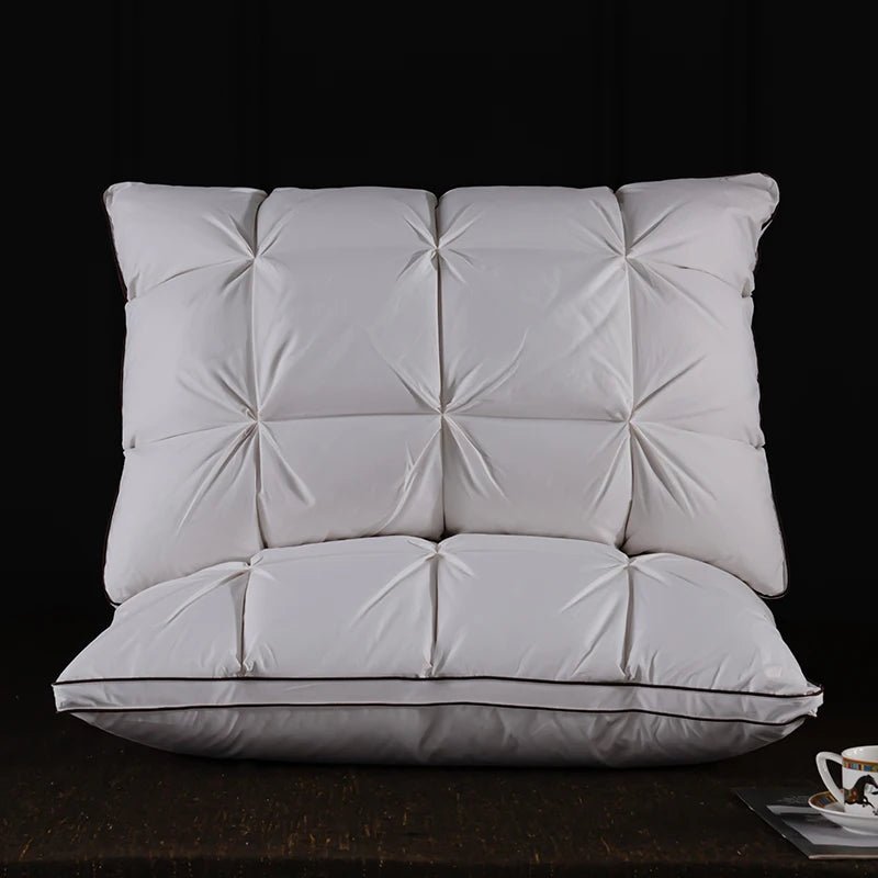 Oreiller en plumes et duvet d'oie