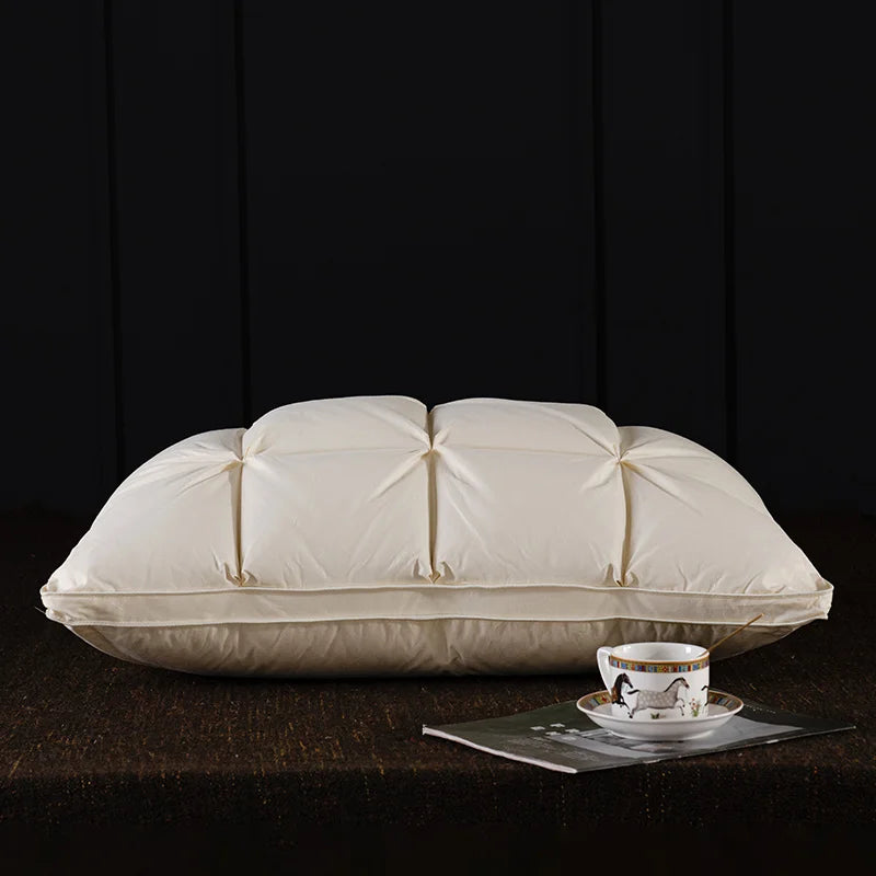 Oreiller en plumes et duvet d'oie