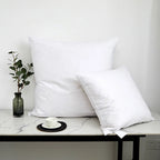 Oreiller duvet et plumes d'oie large gamme de tailles