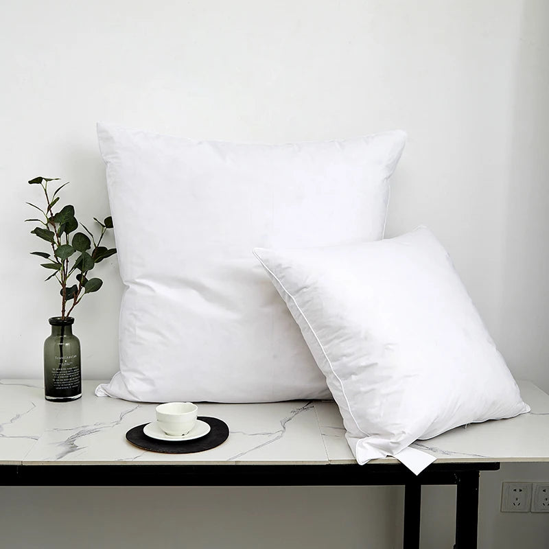 Oreiller duvet et plumes d'oie large gamme de tailles