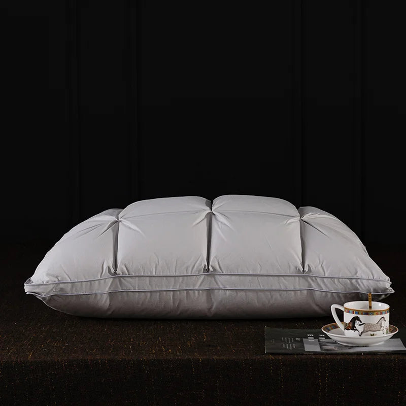 Oreiller en plumes et duvet d'oie