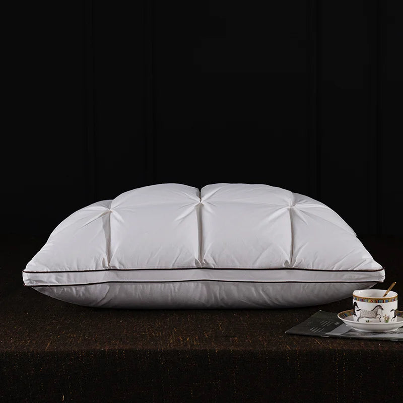 Oreiller en plumes et duvet d'oie