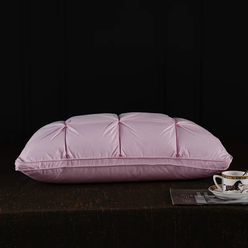 Oreiller en plumes et duvet d'oie