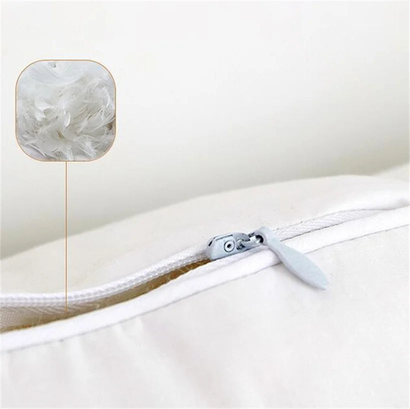 Oreiller duvet et plumes d'oie large gamme de tailles