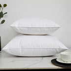 Oreiller duvet et plumes d'oie large gamme de tailles