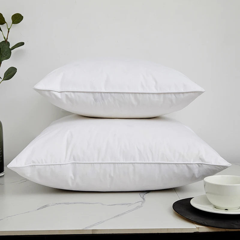 Oreiller duvet et plumes d'oie large gamme de tailles