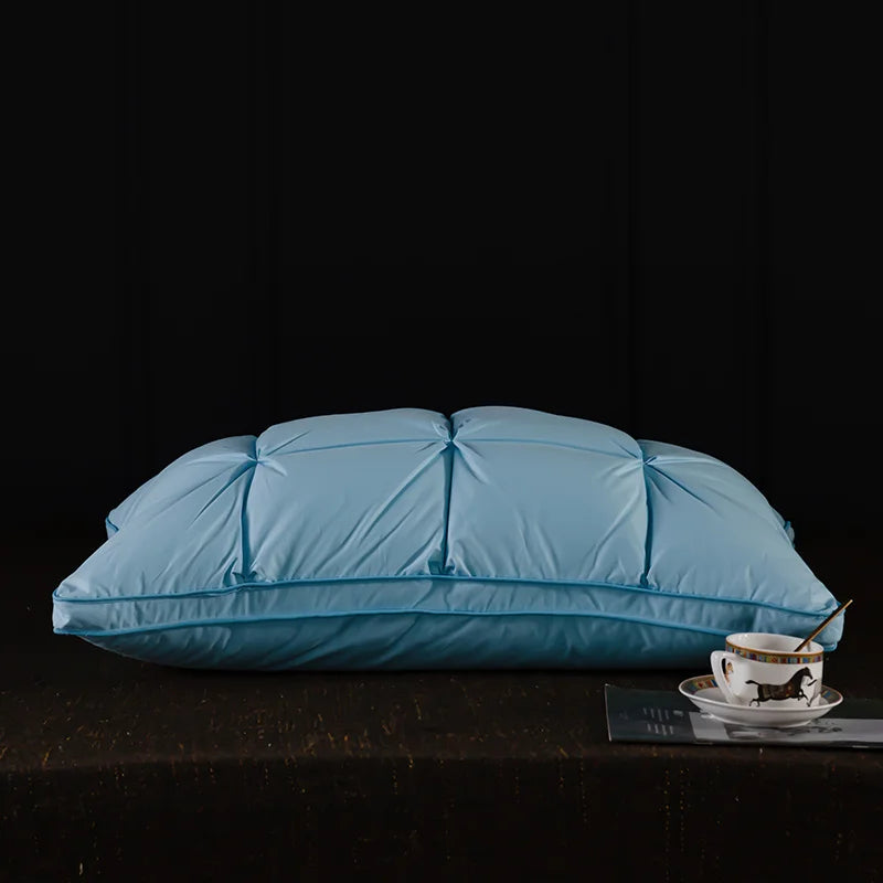 Oreiller en plumes et duvet d'oie
