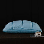 Oreiller en plumes et duvet d'oie