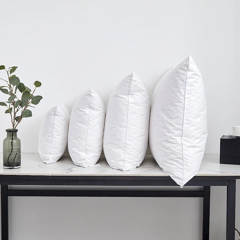 Oreiller duvet et plumes d'oie large gamme de tailles